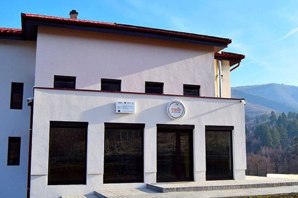 Pensiunea Cuib Cisnădioara Exterior photo